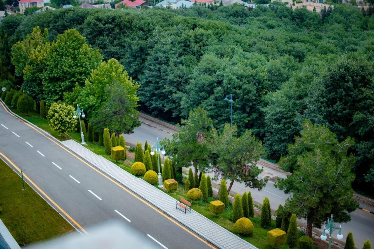 Ayan Palace Hotel Tovuz Buitenkant foto